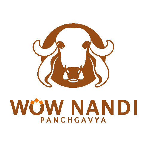 Wow Nandi